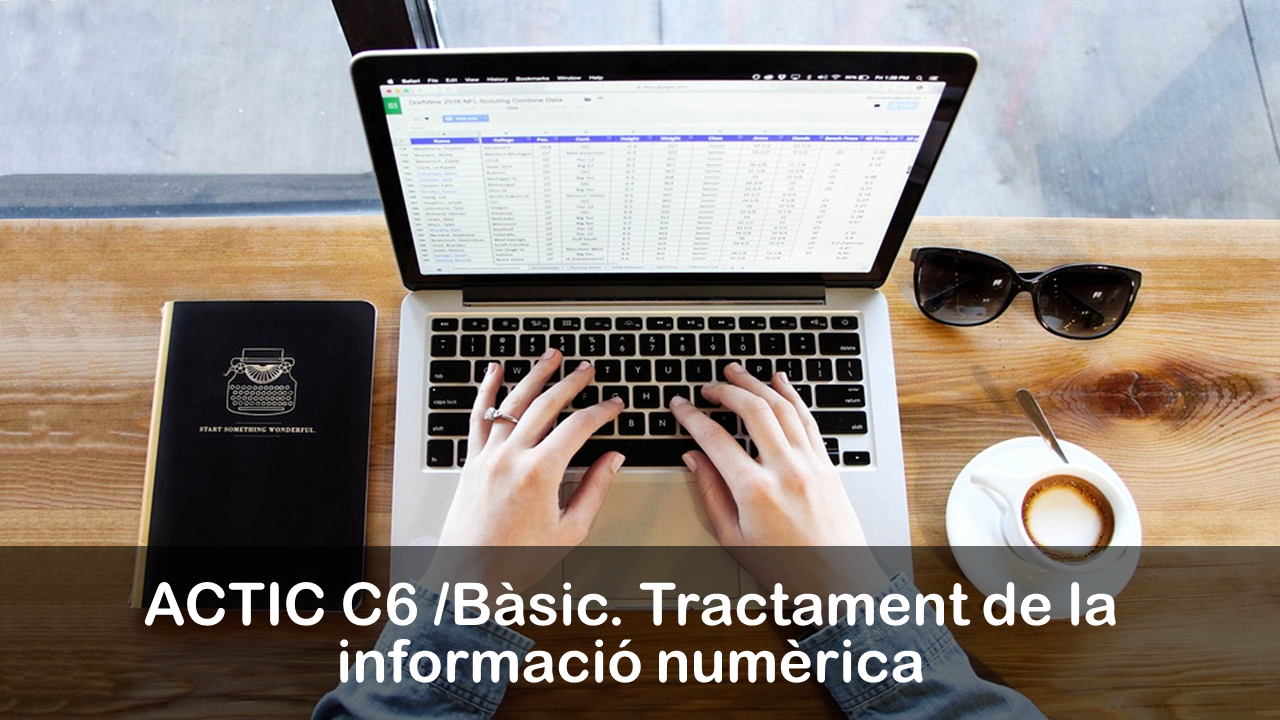 Tractament de la informació numèrica (ACTIC/C6). Nivell bàsic
