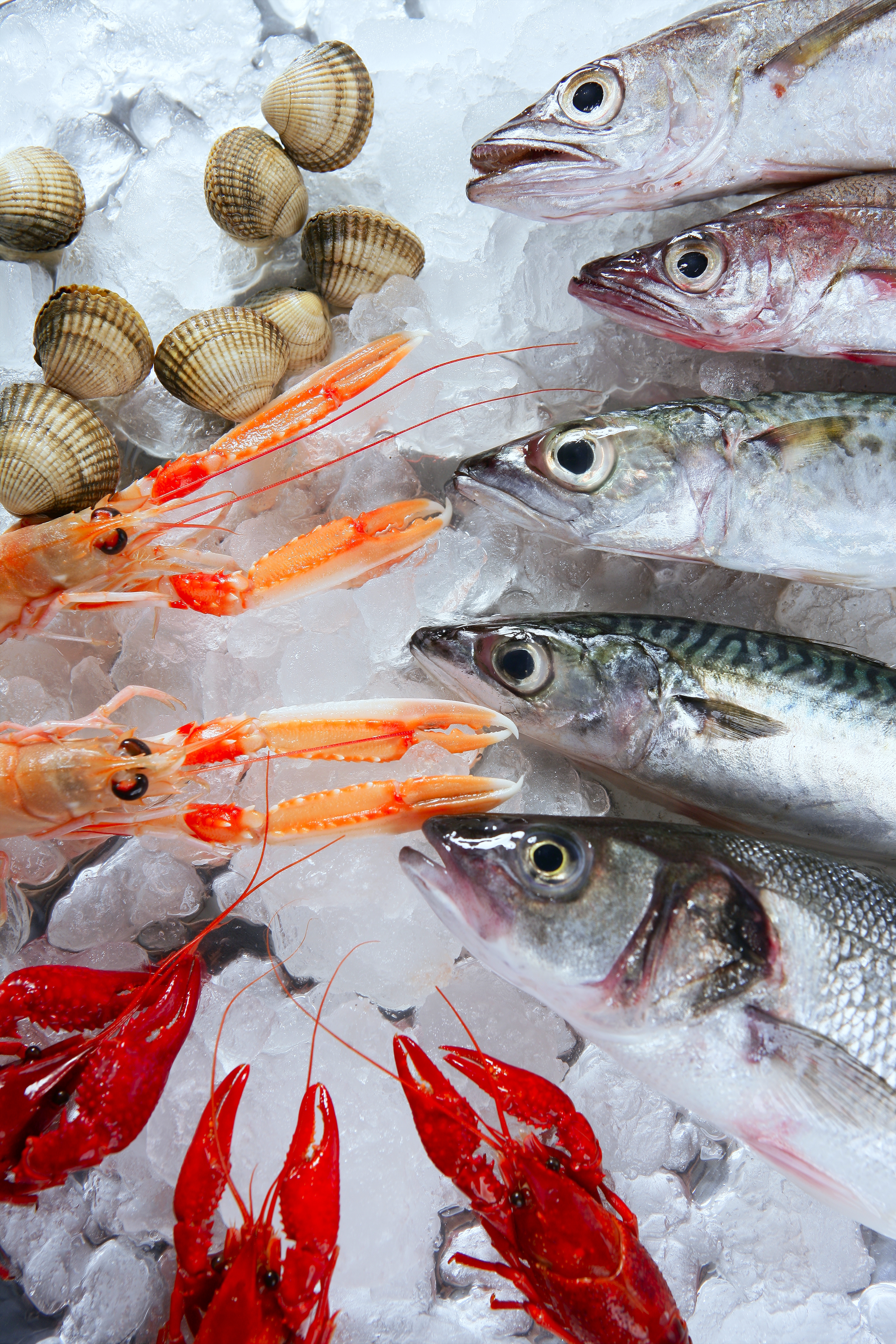 Preelaboració bàsica de peixos i marisc